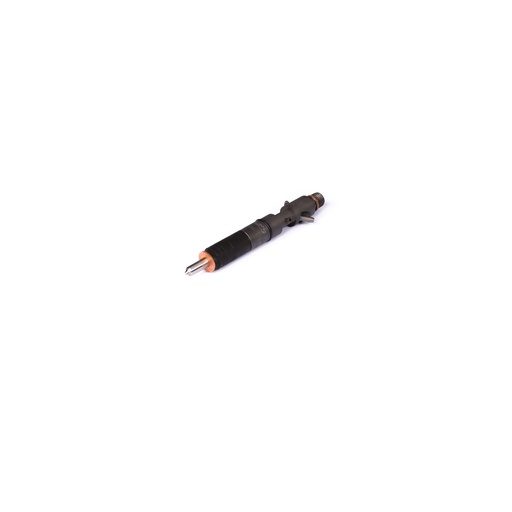Inyector FG Wilson 10000-00270