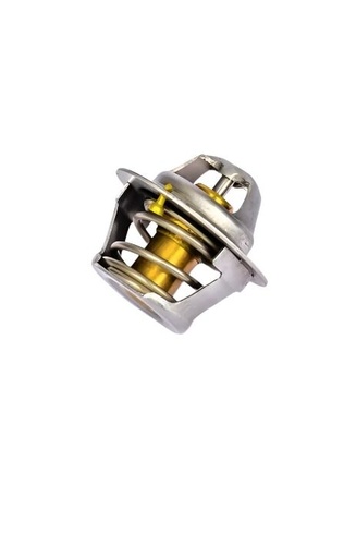 Termostato FG Wilson 10000-05462