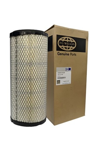 Filtro de aire FG Wilson 10000-51238