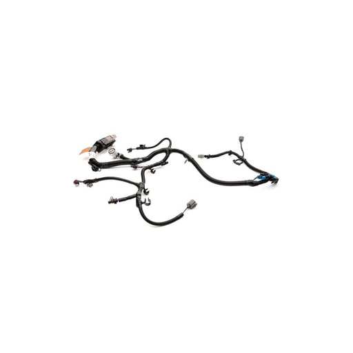 Ramal de cableado Perkins 1889275C93
