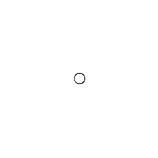 O-ring FG Wilson 10000-00097