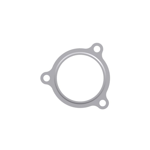 Empaquetadura Perkins T407256