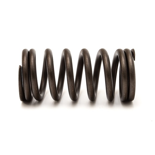 Valve spring Perkins CH12798