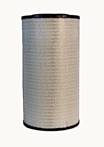 Filtro de aire Fleetguard AF25619