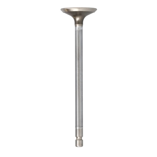 Válvula estandar de escape Iveco / FPT (CNH) 4895051