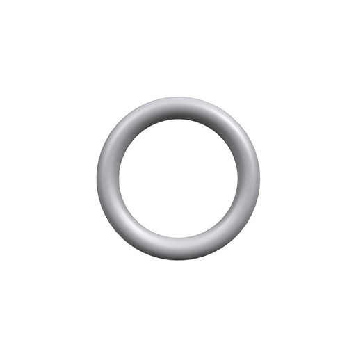 Oring Perkins 576/165