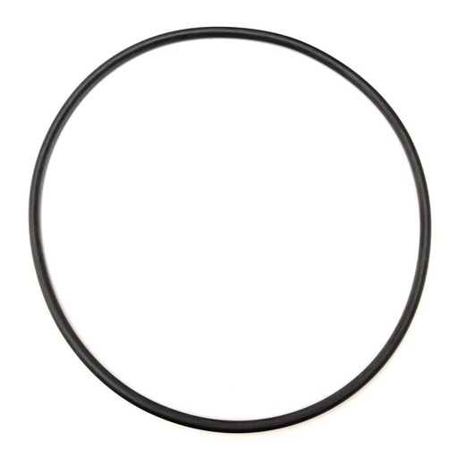 Oring Perkins 576/167