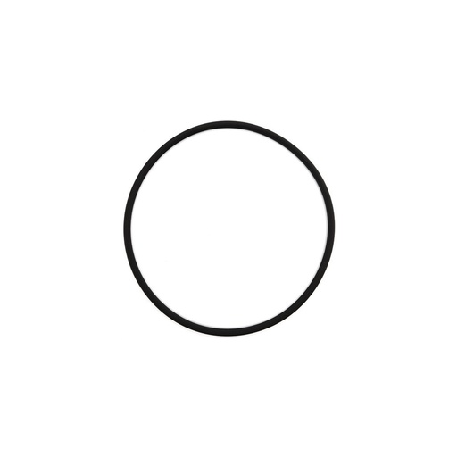 Oring Perkins 576/189
