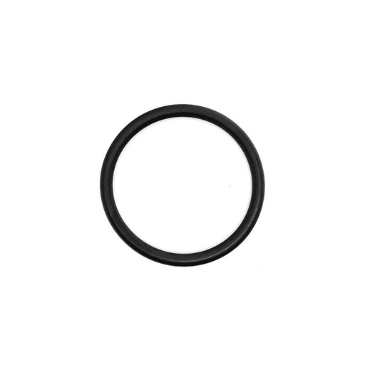 Oring Perkins 576/217