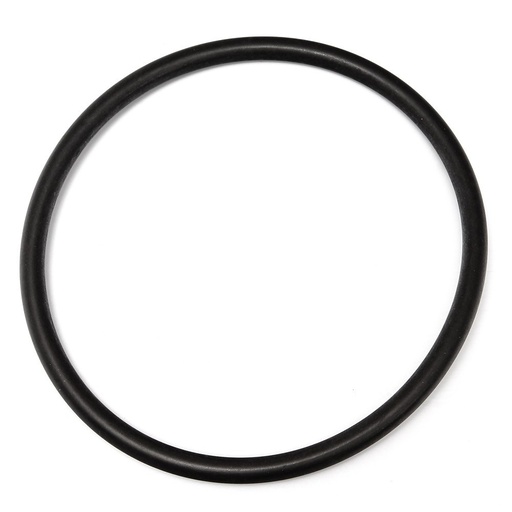 Oring Perkins 576/228
