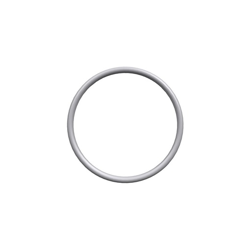 Oring Perkins T423290