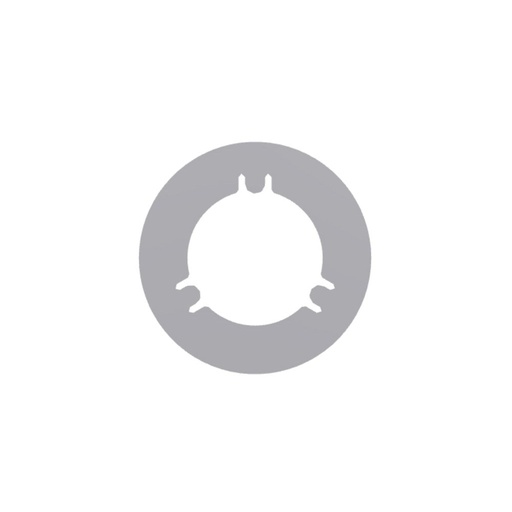 Laina Perkins T434446