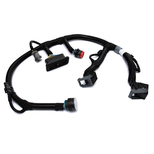 Wiring arnes Perkins T434630