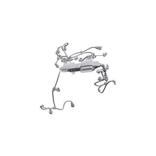Arnes Perkins T437787